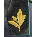 Пиджак парадный Советника юстиции Прокуратуры СССР, обр. 1943 г.